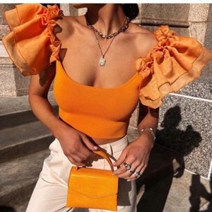 ZARA organza knit crop top